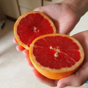 Exotické ovoce - grapefruit na zdraví a štíhlou linii