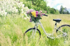 Jarní péče o pleť - bylinky a procházky přírodou