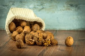Ořechy prospívají nejen těhotným ženám a lidem s cukrovkou